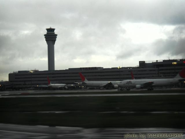 SDC11186.jpg